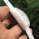Replica Franck Muller Geneve White Croco Watch White Caramic (2)_th.jpg